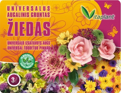 ziedas_3 ziedas_3